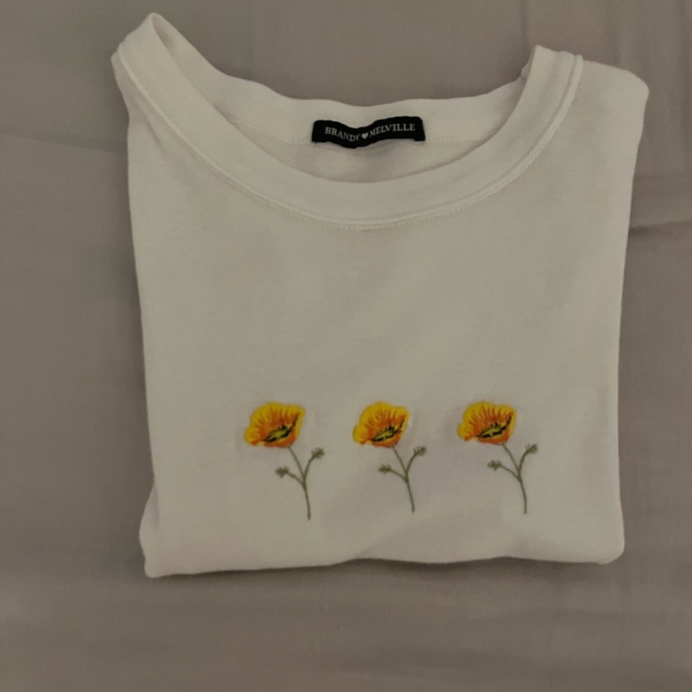 Brandy Melville Ashlyn Poppy Top